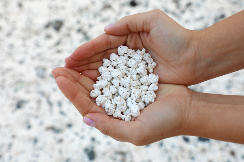 popcorn-strand