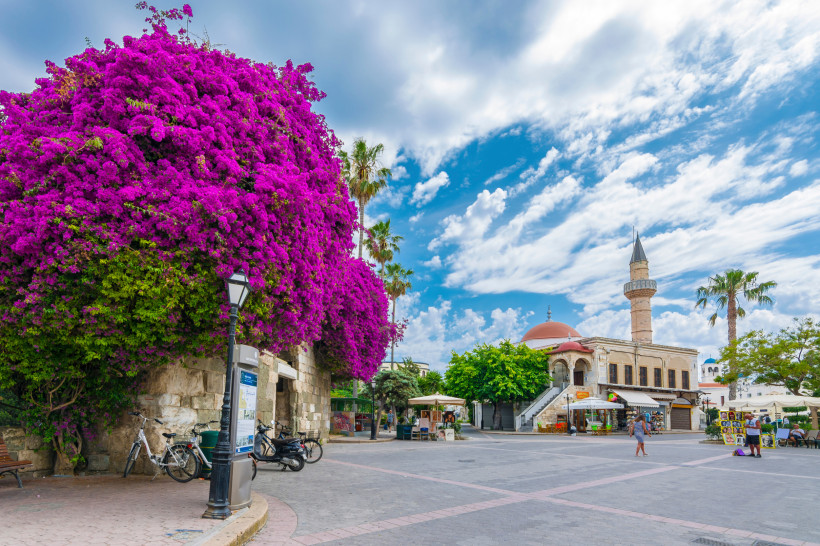 Lebendiger Platz mit einer historischen Moschee im Hintergrund, deren Minarett in den wolkigen Himmel ragt. Davor breitet sich ein großer Baum mit dichten, leuchtend pinken Bougainvillea-Blüten aus. Fahrräder und Motorroller stehen neben der alten Stadtma