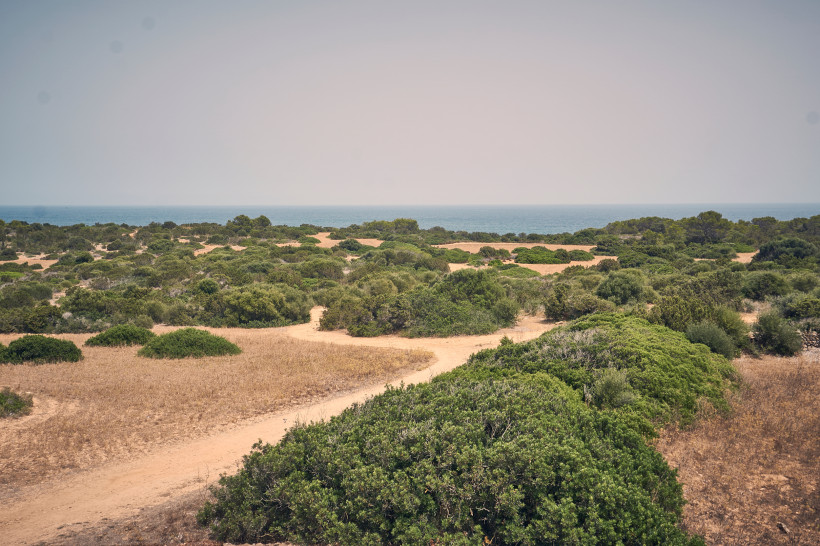 Schmaler Sandweg durch trockene mediterrane Vegetation mit Blick auf das Meer am Horizont