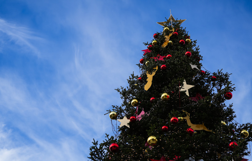 Fuerteventura Weihnachtsbaum mit goldenen Rentieren, roten und goldenen Kugeln sowie Sternen vor blauem Himmel