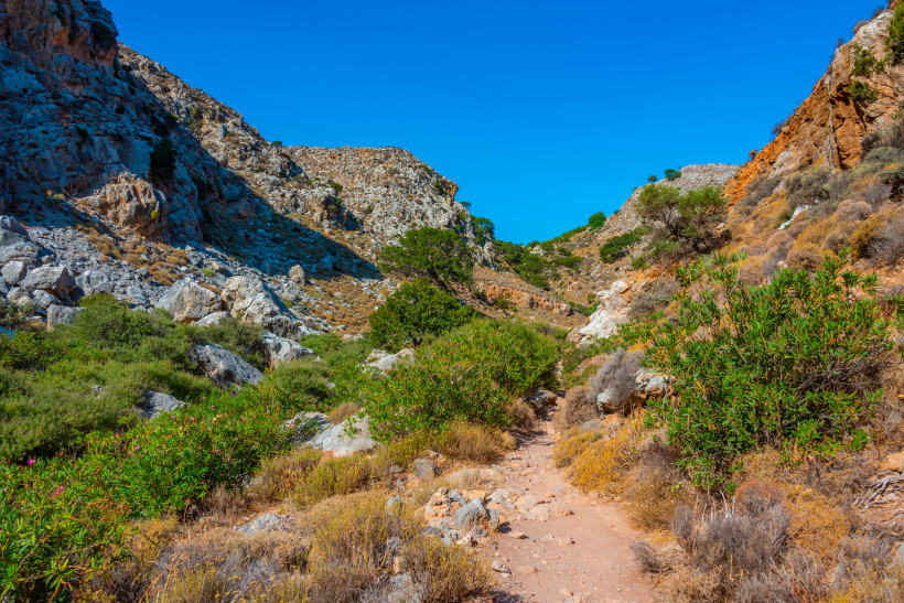 Schmale, steinige Schlucht mit trockenem Wanderpfad, umgeben von felsigen Hängen und mediterraner Vegetation aus Sträuchern und vereinzelten Bäumen unter einem klaren, blauen Himmel
