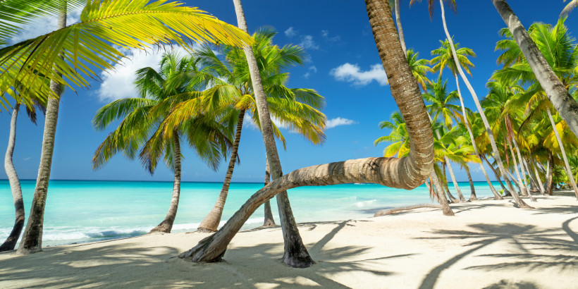 Dom.Rep. Palmen mit gebogenen Stämmen am weißen Sandstrand vor klarem türkisblauem Meer und wolkenlosem Himmel