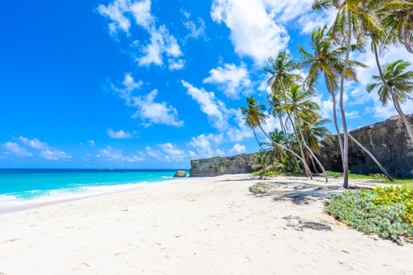 Bottom Bay – spektakulärer Palmenstrand auf Barbados Bottom Bay auf Barbados mit weißem Sand, Palmen und türkisblauem Meer unter blauem Himmel.