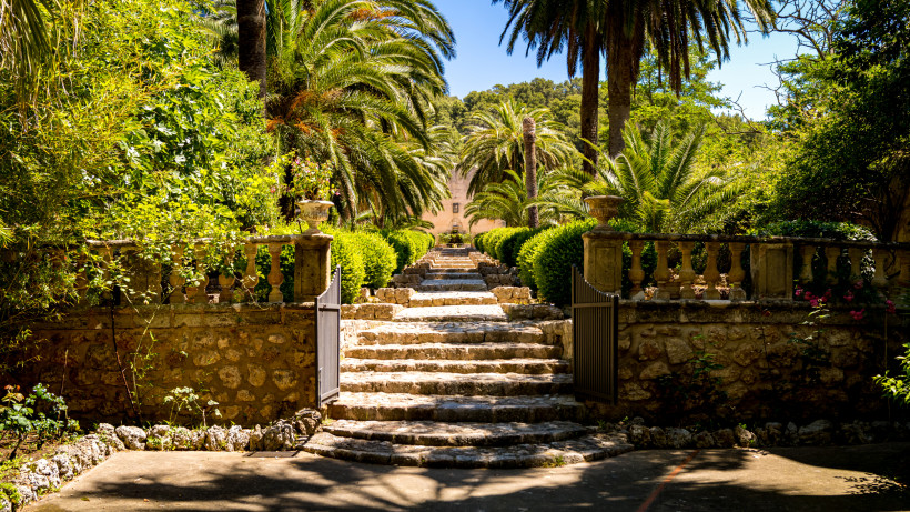 Jardines de Alfabia, Mallorca Steintreppe in einer gepflegten historischen Gartenanlage mit Palmen, Hecken und mediterraner Vegetation