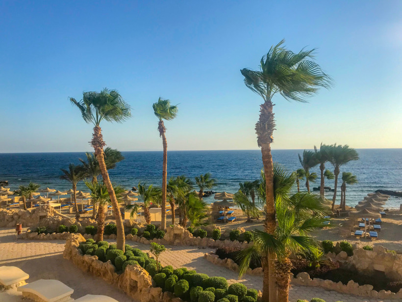 Strandkulisse mit Palmen, Sonnenschirmen und Blick auf das ruhige blaue Meer bei klarem Himmel