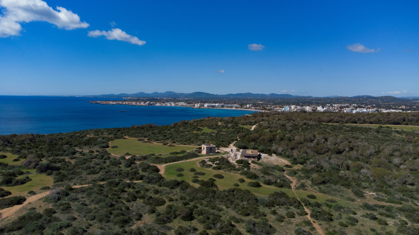 Blick über das Naturschutzgebiet Punta de n’Amer bei Sa Coma mit Küste und Bucht im Hintergrund