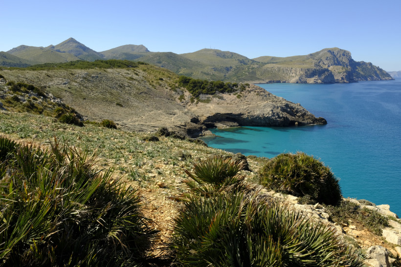 Küstenlandschaft im Parc Natural de la Península de Llevant mit Felsbucht und türkisblauem Meer