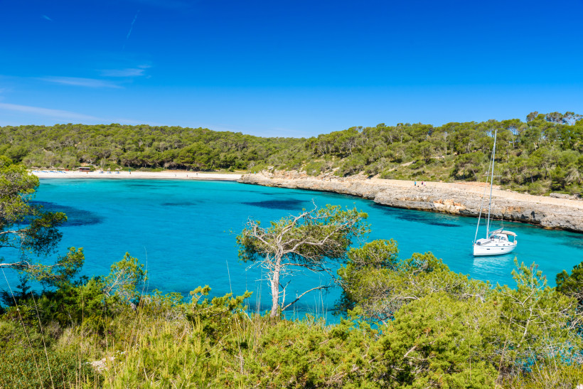 Mallorca - Cala S’Amarador Eine wunderschöne Bucht mit strahlend blauem Wasser, umgeben von Pinienwäldern und einer felsigen Küste. Im Vordergrund wachsen Pinien und mediterrane Büsche. Am Rand der Bucht liegt ein kleiner Sandstrand mit feinem, hellem Sand. Eine weiße Segelyacht an