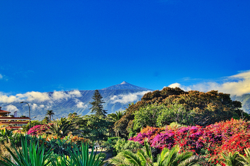 Pico del Teide Teneriffa Farbenfrohe tropische Landschaft mit blühenden Pflanzen im Vordergrund, Palmen, Bäumen und einem majestätischen Vulkan im Hintergrund unter klarem blauen Himmel mit einigen Wolken
