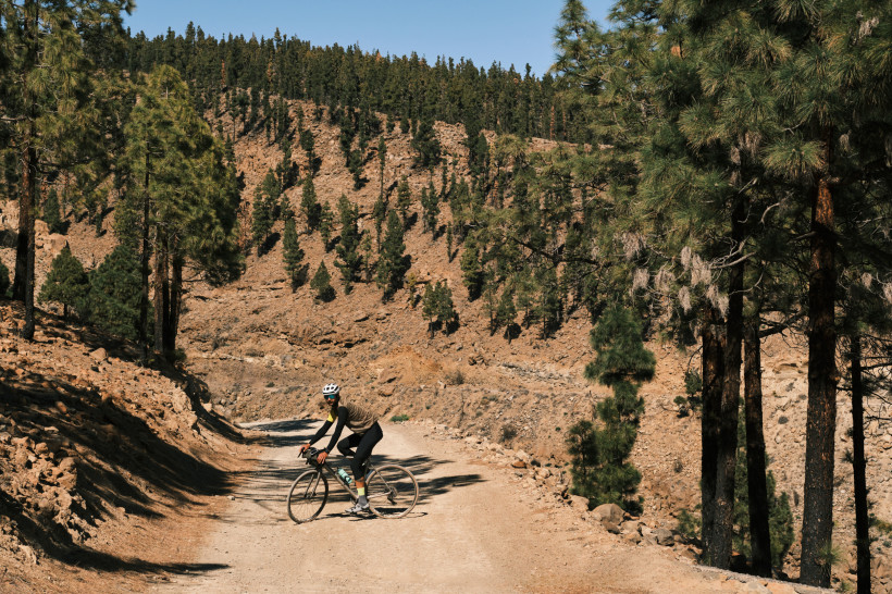 Mountainbiken durch Gran Canarias Bergwelt Ein Radfahrer fährt mit dem Gravelbike auf einem staubigen Bergweg durch einen Pinienwald auf Gran Canaria – ein beliebtes Ziel für sportlich Aktive und Abenteurer.