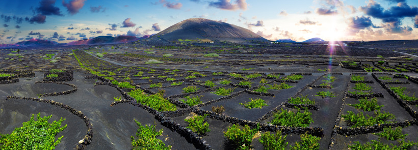 Vulkanlandschaft in La Geria auf Lanzarote mit Weinreben in mit Steinmauern eingefassten Parzellen