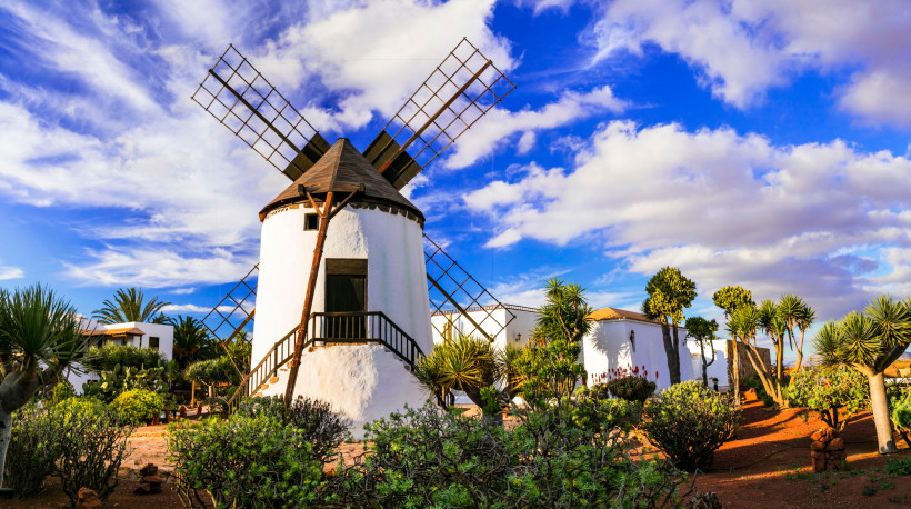 Traditionelle Windmühle auf Fuerteventura mit weißem Turm und Flügeln vor blauem Himmel, umgeben von Gartenpflanzen