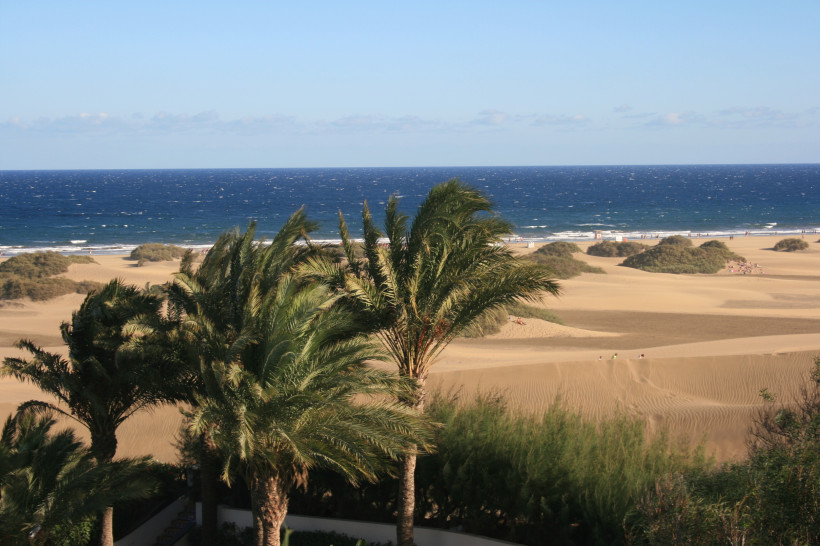 Dünenlandschaft mit Palmen und Blick auf den Atlantik bei Playa del Inglés
