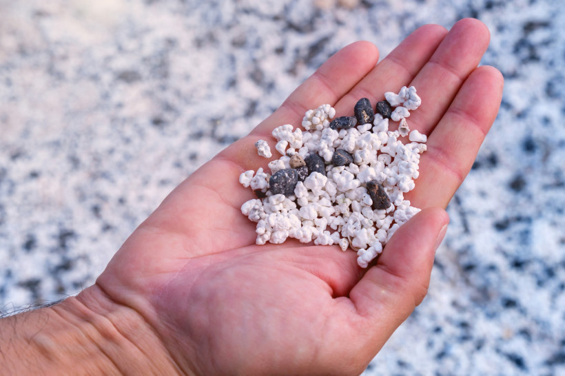 Hand mit weißen Korallenbruchstücken und dunklen Lavasteinen am Popcorn Beach auf Fuerteventura, Spanien