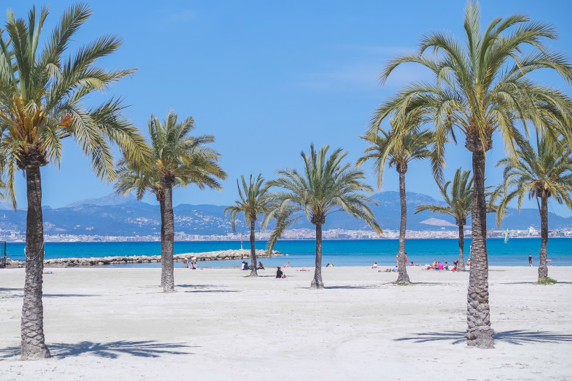 Palmenstrand an der Playa de Palma – Mallorca erleben Weißer Sandstrand mit Palmen und Blick auf das türkisfarbene Meer und eine Stadt vor einer Bergkulisse im Hintergrund