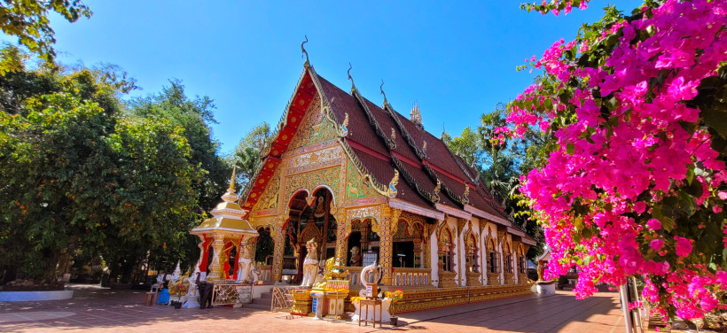 Thailand - Phuket Prächtig verzierter thailändischer Tempel mit rotem Dach und goldenen Details, flankiert von einer üppigen Bougainvillea mit leuchtend pinken Blüten. Die Szenerie ist von tropischen Bäumen umgeben und der Himmel strahlt in hellem Blau.
