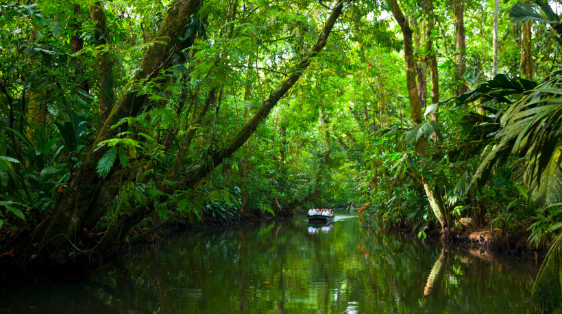 Bootstour im Tortuguero-Nationalpark Touristen im Boot auf einem Fluss im dichten Regenwald des Tortuguero Nationalparks in Costa Rica