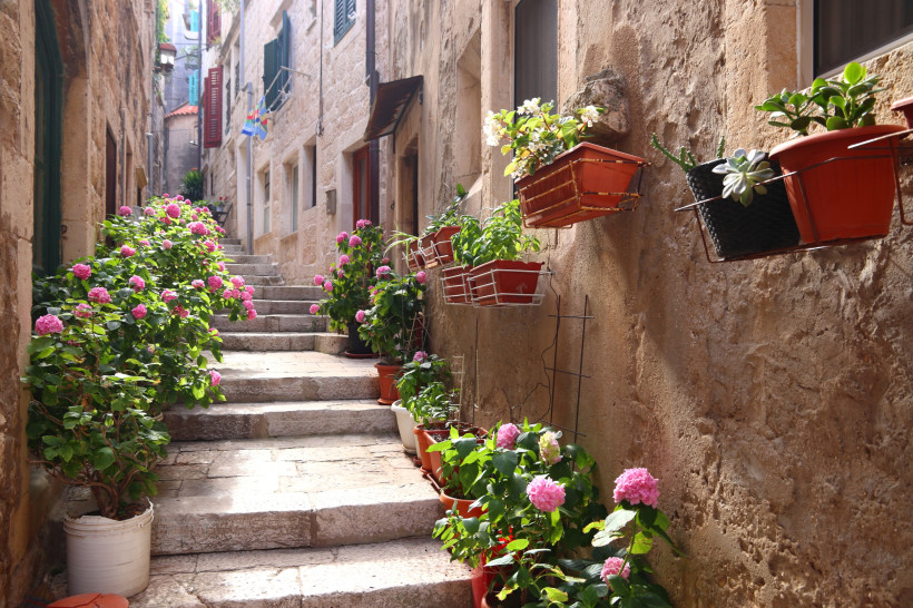 Romantische, enge Gasse in einer Altstadt in Kroatien ( Korčula ). Steinige Treppen führen zwischen alten, sandfarbenen Hausfassaden empor. Links und rechts säumen blühende rosa Hortensien und bunte Blumentöpfe den Weg. An den Wänden hängen Pflanzen in Te