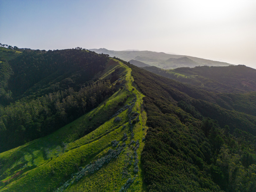 Grüner Bergrücken mit schmalem Pfad und bewaldeten Hängen auf El Hierro