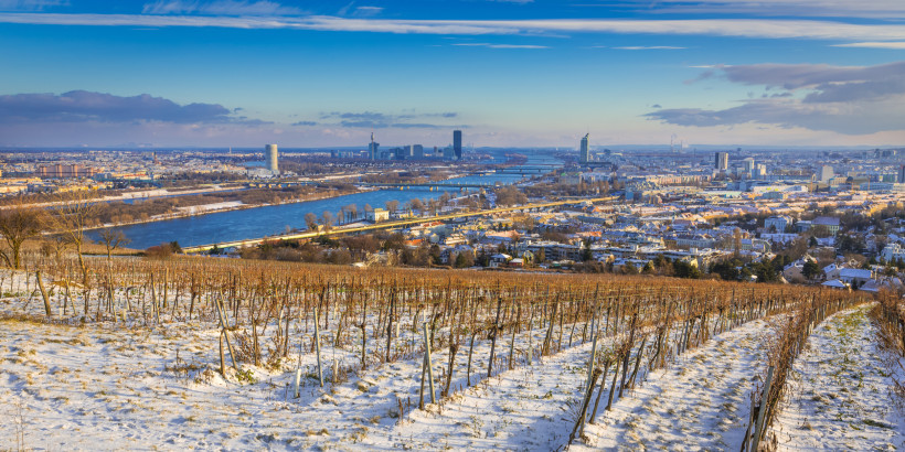 Wien Winterlicher Ausblick auf Wien von einem schneebedeckten Weinberg aus. Im Vordergrund Rebstöcke, im Hintergrund die Donau mit mehreren Brücken und das moderne Stadtpanorama mit Hochhäusern unter blauem Himmel.