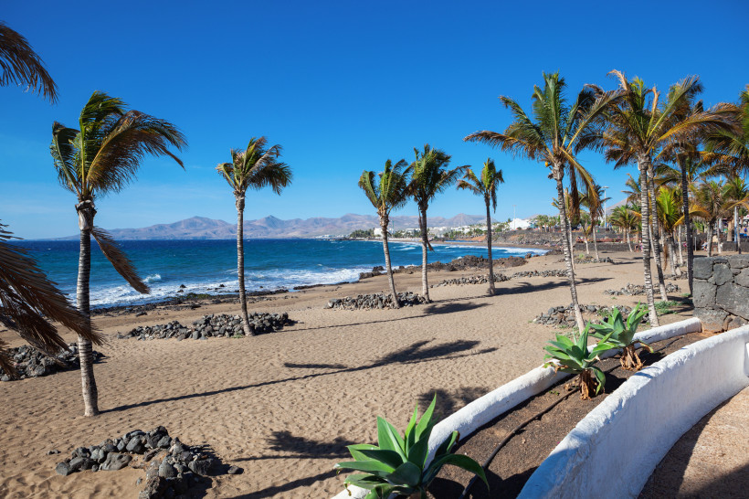 Strand von Puerto del Carmen auf Lanzarote mit Palmen, dunklem Sandstrand und Blick auf das Meer.