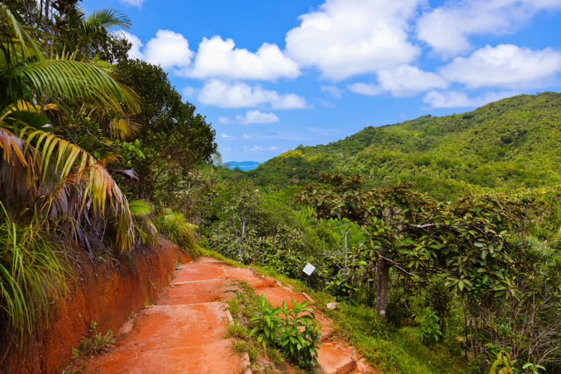 Seychellen -  Vallée de Mai Wanderweg im Vallée de Mai, Praslin – üppige Vegetation und rote Erde, Highlight der Seychellen 2025/2026