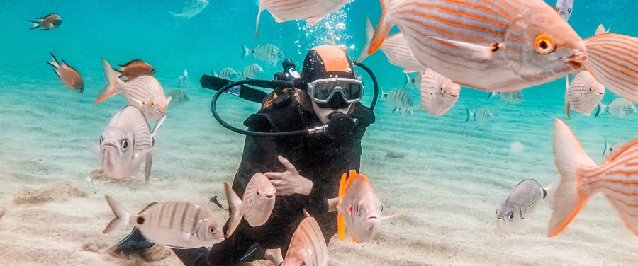Teneriffa unter Wasser, eine Person beim Tauchen, Fische