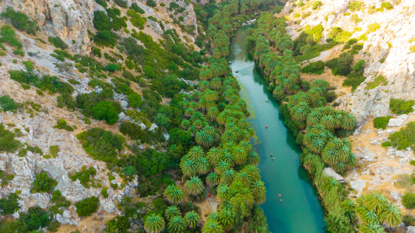 Palmenwald entlang eines Flusses flussaufwärts zum Preveli-Palmenstrand