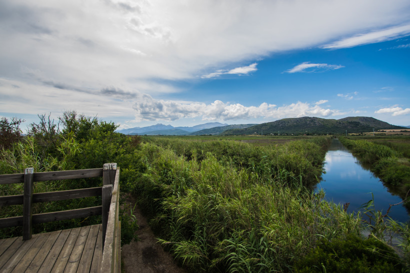 Holzsteg und Wasserlauf im Parc Natural de s'Albufera mit Schilf, Kanälen und Blick auf die umliegende Ebene und Berge im Norden Mallorcas
