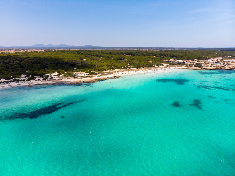 Mallorca - Ses Covetes Eine traumhafte Luftaufnahme von einem weißen Sandstrand und kristallklarem Wasser an der Küste von Mallorca. Der Strand ist von üppigem, grünem Pinienwald umgeben. Das Wasser schimmert in verschiedenen Türkistönen und wirkt sehr einladend.
