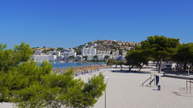 Strand von Santa Ponsa mit Pinien, Sonnenschirmen und Blick auf die Bucht und Bebauung am Hang