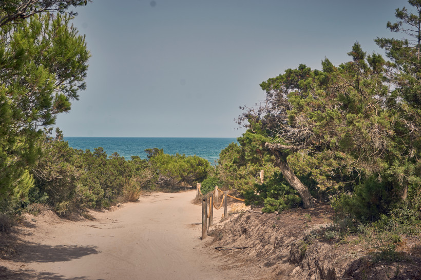 Sandweg durch Küstenvegetation mit Blick auf das Meer an der Punta de n’Amer
