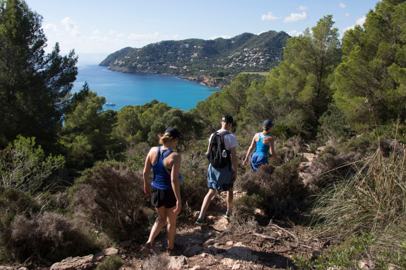 Felsiger Küstenweg bei Cala San Vicente mit Blick auf türkisfarbenes Wasser und Kalksteinformationen der Nordküste Mallorcas.