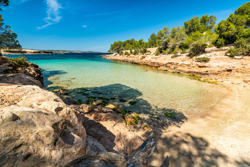 Blick auf die Cala Gracioneta bei Sant Antoni mit türkisfarbenem Wasser, Felsen und Pinien am Ufer