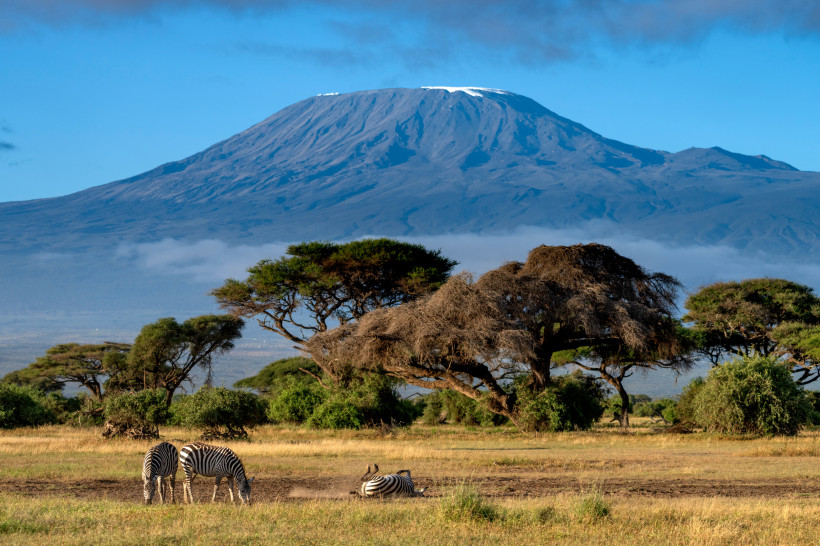 Blick auf den Kilimandscharo und Safari mit Zebras