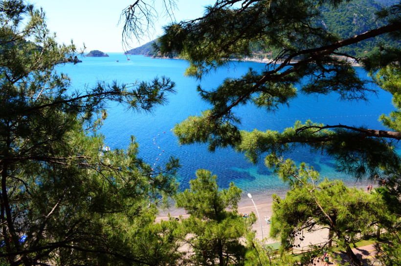 Blick durch grüne Pinienzweige auf ein klares, türkisblaues Meer und einen schmalen Kiesstrand an der Türkischen Riviera.