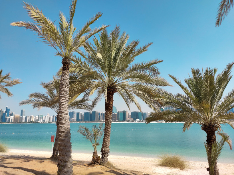 Palmen am weißen Sandstrand mit türkisfarbenem Wasser, im Hintergrund die moderne Skyline von Abu Dhabi