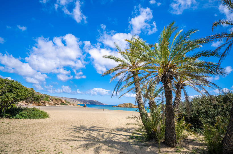 Palmen am Sandstrand mit Blick auf das blaue Meer und bewölkten Himmel