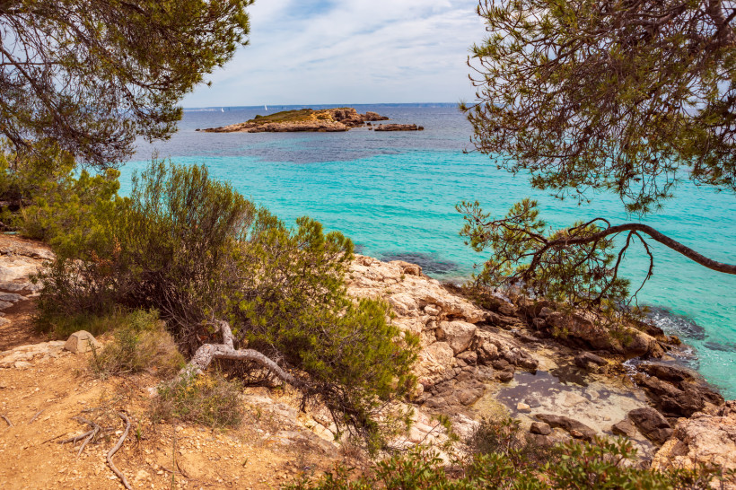 Blick auf das türkisfarbene Meer und eine kleine Felseninsel bei Cala Comtesa, umrahmt von Kiefern und felsiger Küste
