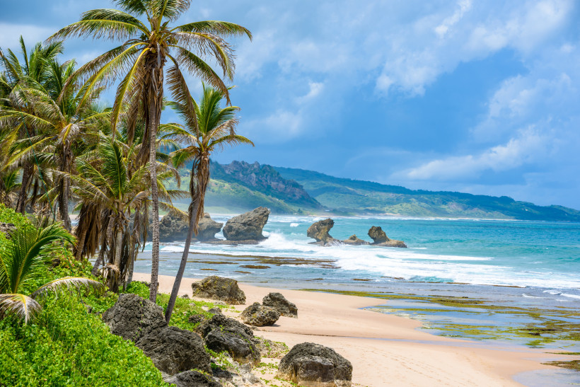 Bathsheba Beach auf Barbados mit Palmen, Felsen und Wellen an der wilden Atlantikküste.