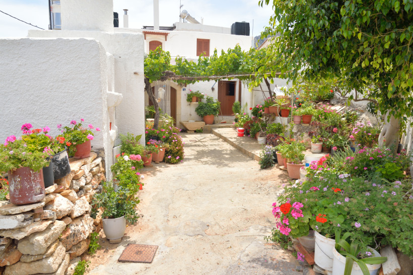 Gepflasterter Hofweg mit zahlreichen Blumentöpfen vor weißem Haus in Alt Chersonissos