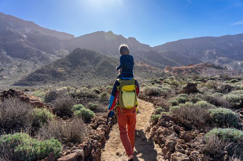 Aktiv auf Teneriffa, Kanarische Inseln: Wanderung im Teide Gebiet zum dritthöchsten Gipfel Alto de Guajara Wanderer mit einem Kind auf den Schultern geht auf einem schmalen Pfad durch eine trockene Vulkanlandschaft mit niedriger Vegetation und Bergkulisse unter klarem Himmel