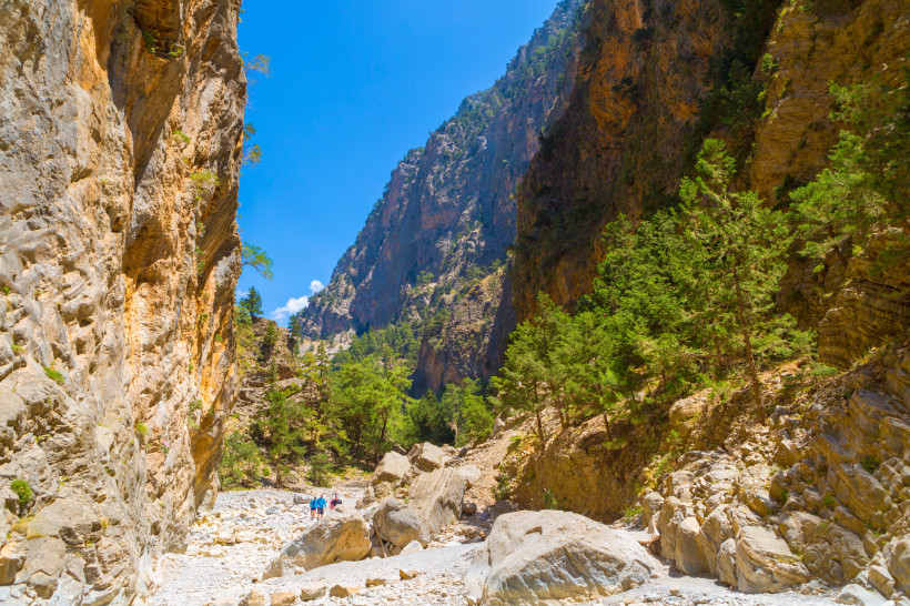 Samaria-Schlucht: steile Felswände, Geröllbett und Kiefern Blick in die Samaria-Schlucht mit steilen Felswänden, Geröllbett und Kiefern unter blauem Himmel