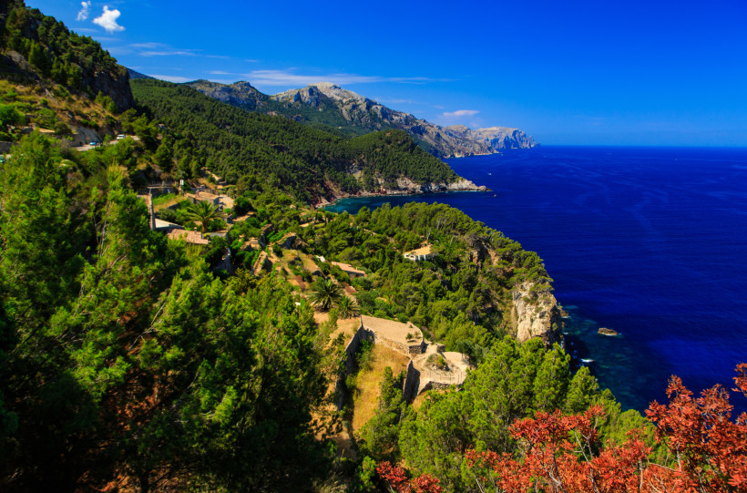 Mallorca - Torre del Verger Das Bild zeigt eine atemberaubende Landschaft an der Küste von Mallorca. Im Vordergrund ist eine dichte, grüne Vegetation mit Pinien und Sträuchern zu sehen, die sich an die felsigen Klippen der Küste schmiegen. Im Hintergrund breitet sich das tiefblaue M
