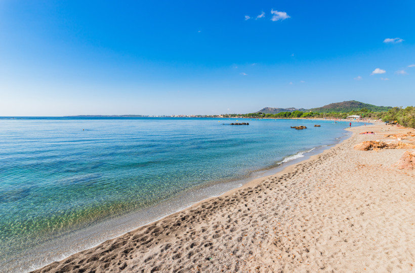 Ruhiger Sand- und Kiesstrand an der Costa dels Pins auf Mallorca, flaches türkisfarbenes Wasser, Pinienbäume und niedrige Hügel entlang der geschützten Küstenlinie.