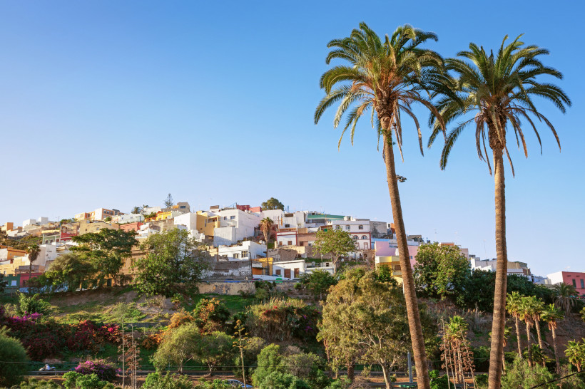 Blick auf Las Palmas de Gran Canaria mit bunten Häusern am Hang und hohen Palmen im Vordergrund