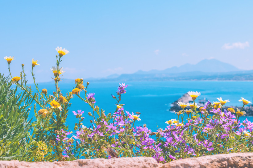 Kreta Blick auf Frühlingsblumen vor dem Meer