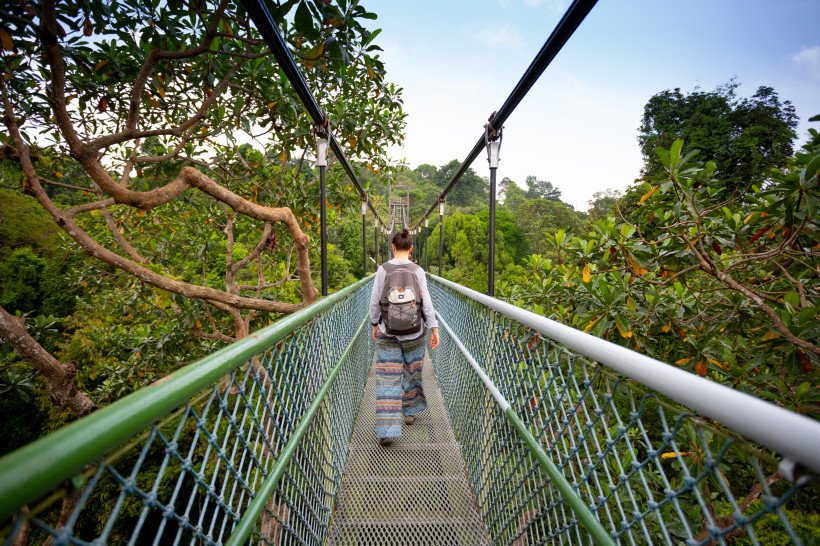 Singapur Eine Person mit Rucksack geht über eine schmale Hängebrücke, die durch das dichte Blätterdach eines tropischen Regenwaldes in Singapur führt. Links und rechts ragen grüne Äste und Blätter in die Brücke hinein, im Hintergrund ist das Ende der Brücke kaum s