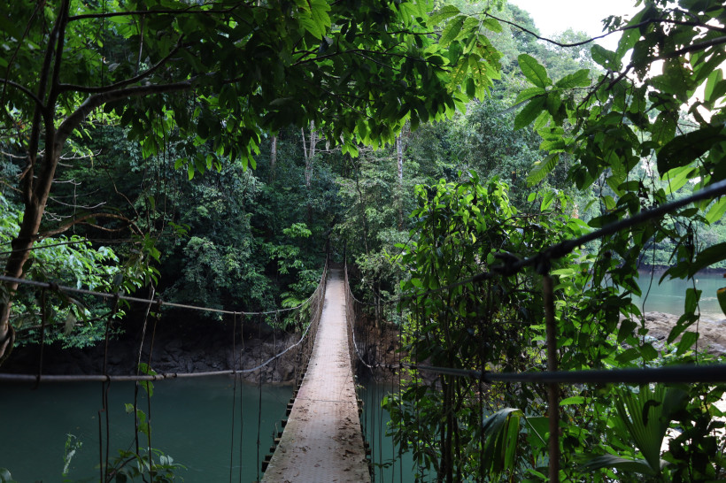 Hängebrücke im Regenwald von Costa Rica über einem Fluss Abenteuerliche Hängebrücke über einen Fluss im dichten Regenwald von Costa Rica, umgeben von tropischer Vegetation
