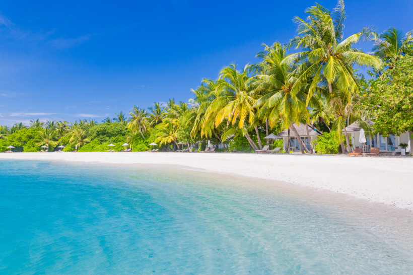 Barbados Tropischer Strand mit feinem weißen Sand, türkisfarbenem Wasser und schattenspendenden Palmen. Entlang der Küste stehen kleine Bungalows und Liegen mit Sonnenschirmen, eingebettet in üppiges Grün. Der Himmel ist wolkenlos blau, das Meer ruhig – perfekte U